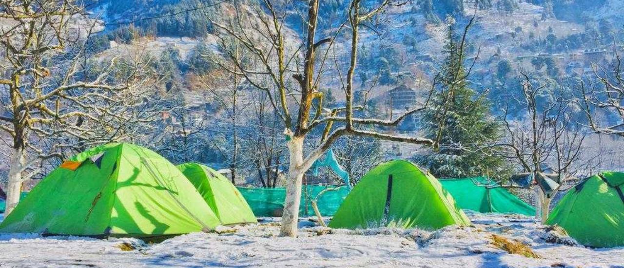 camping in manali