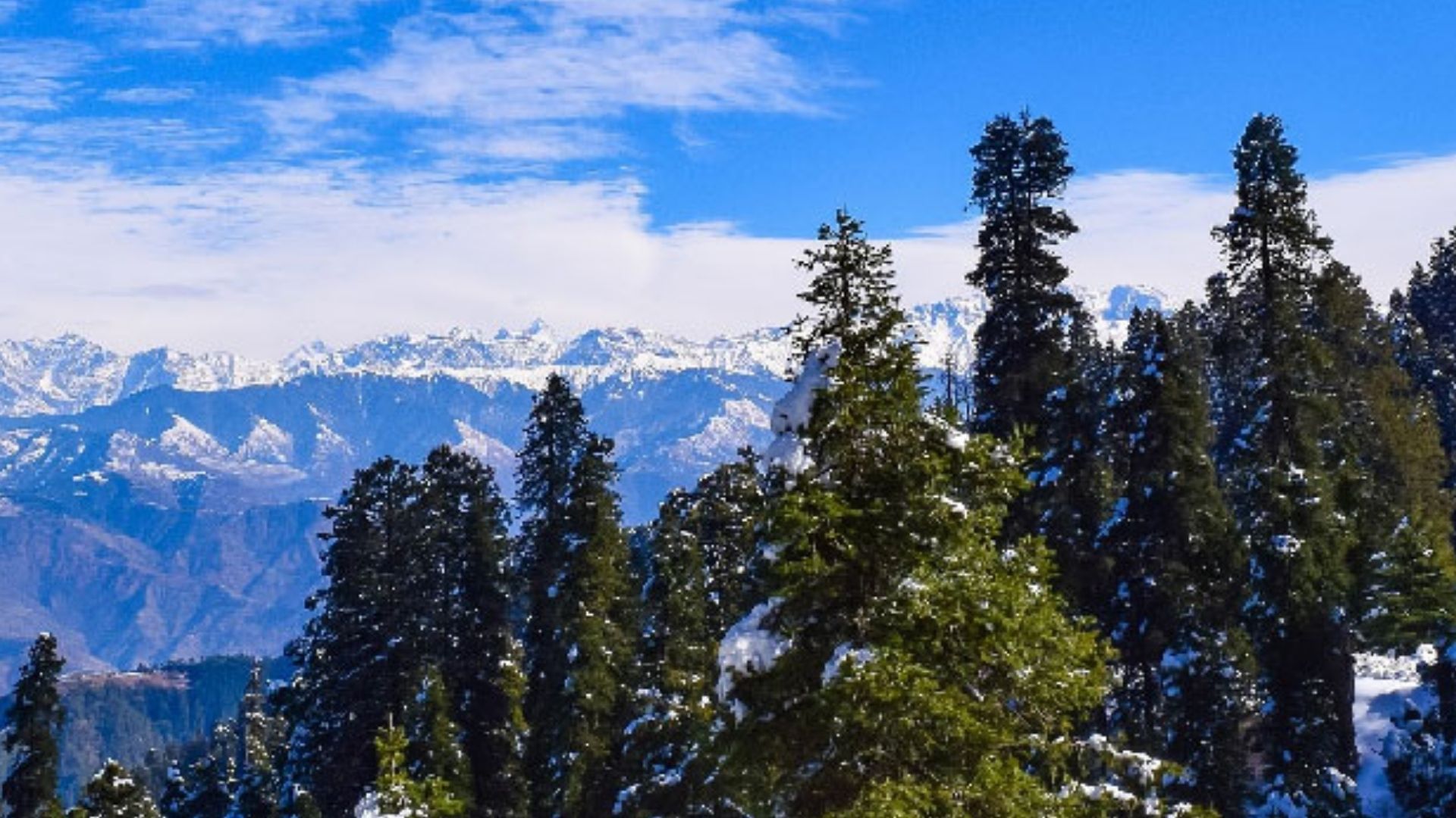 Palces to visit in Dharamshala