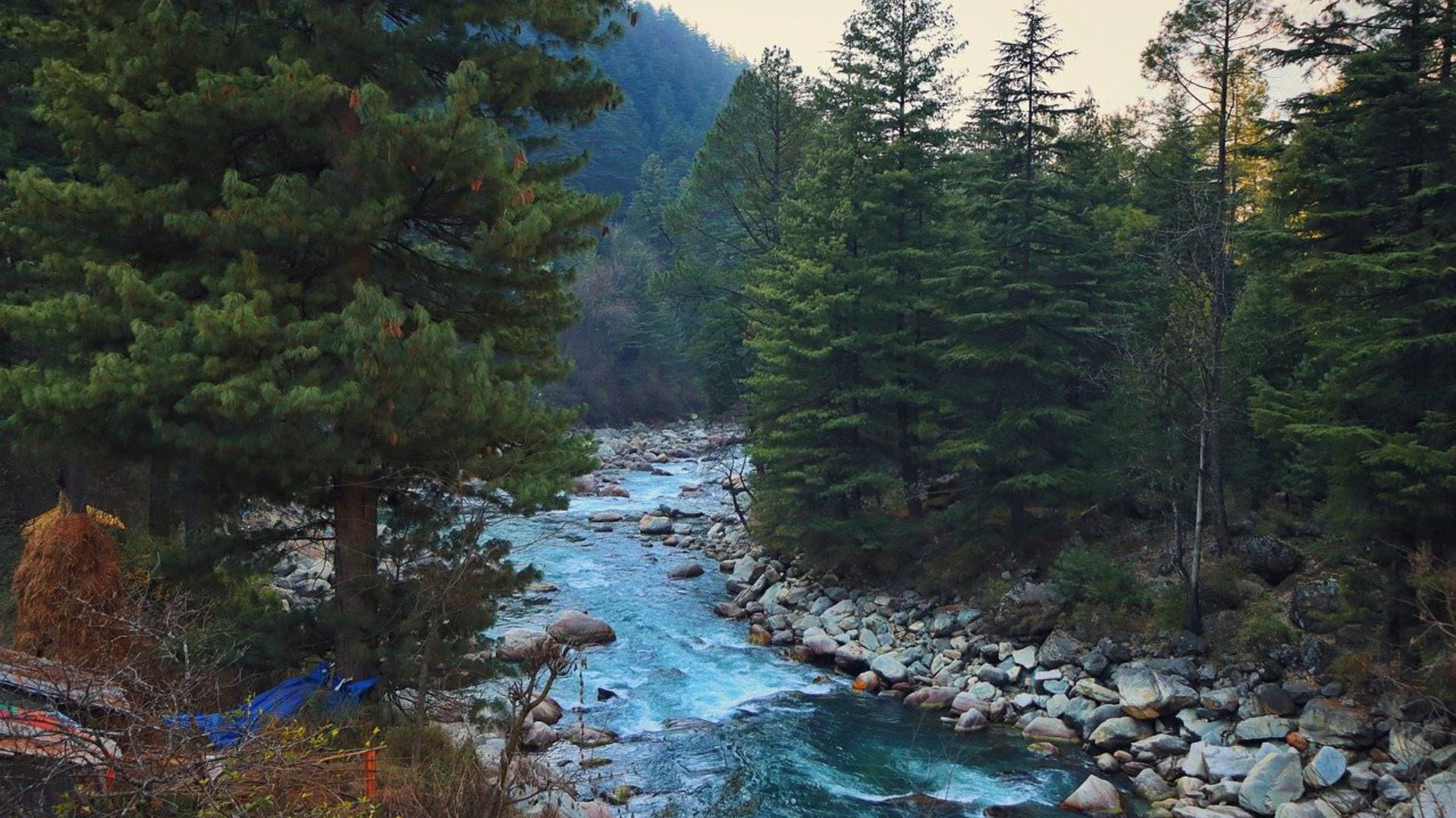 kasol-tour-package3