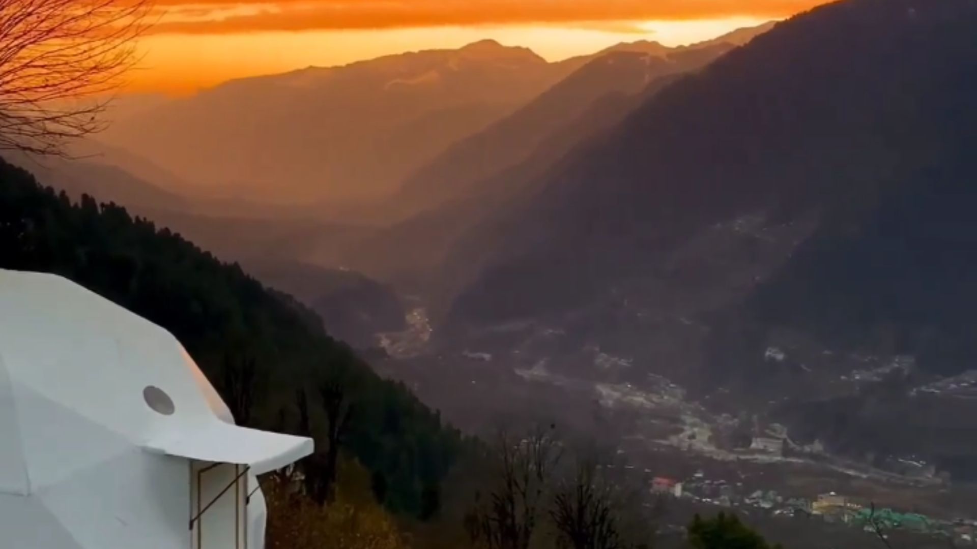 white musk resort manali